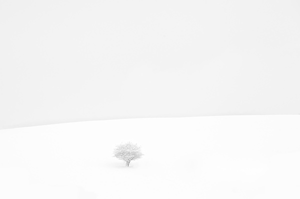 Inverno